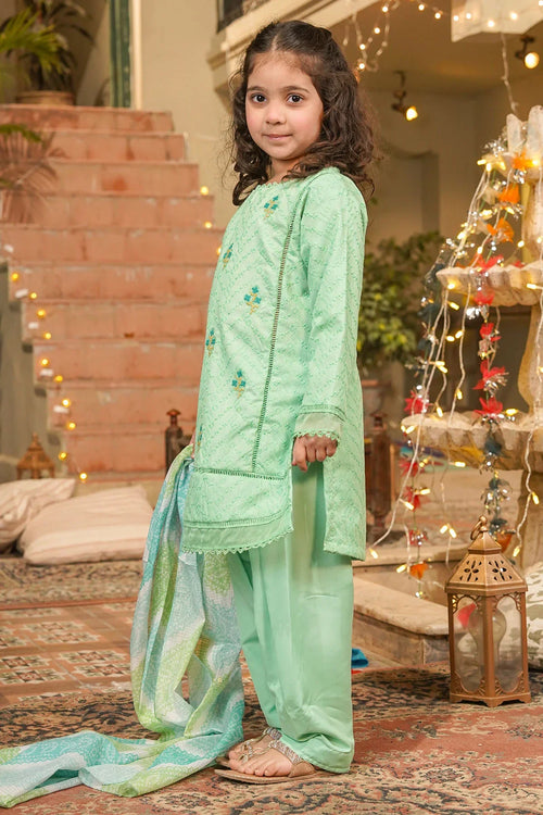 Best Chikankari Embroidered 3 Pc Suit - Wear Ochre -