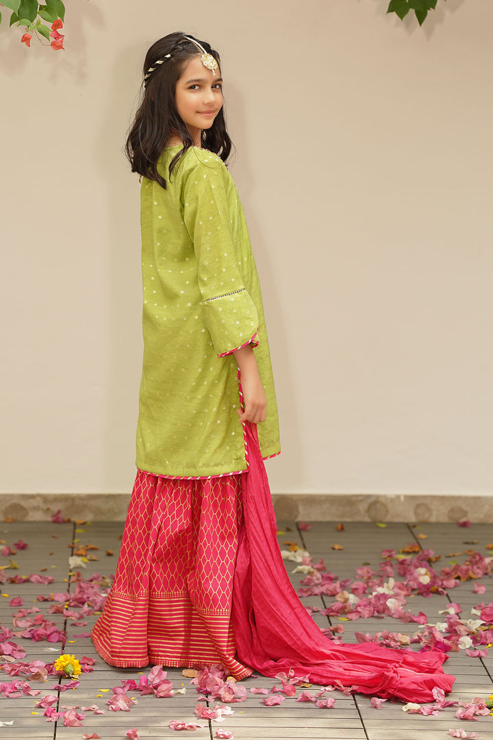 Slub Manar Hand Adda Work 3 Pc Suit - Wear Ochre