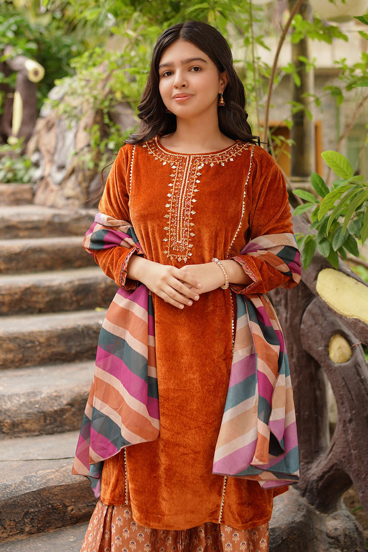 Velvet Hand Adda Work 3 Pc Suit - Wear Ochre