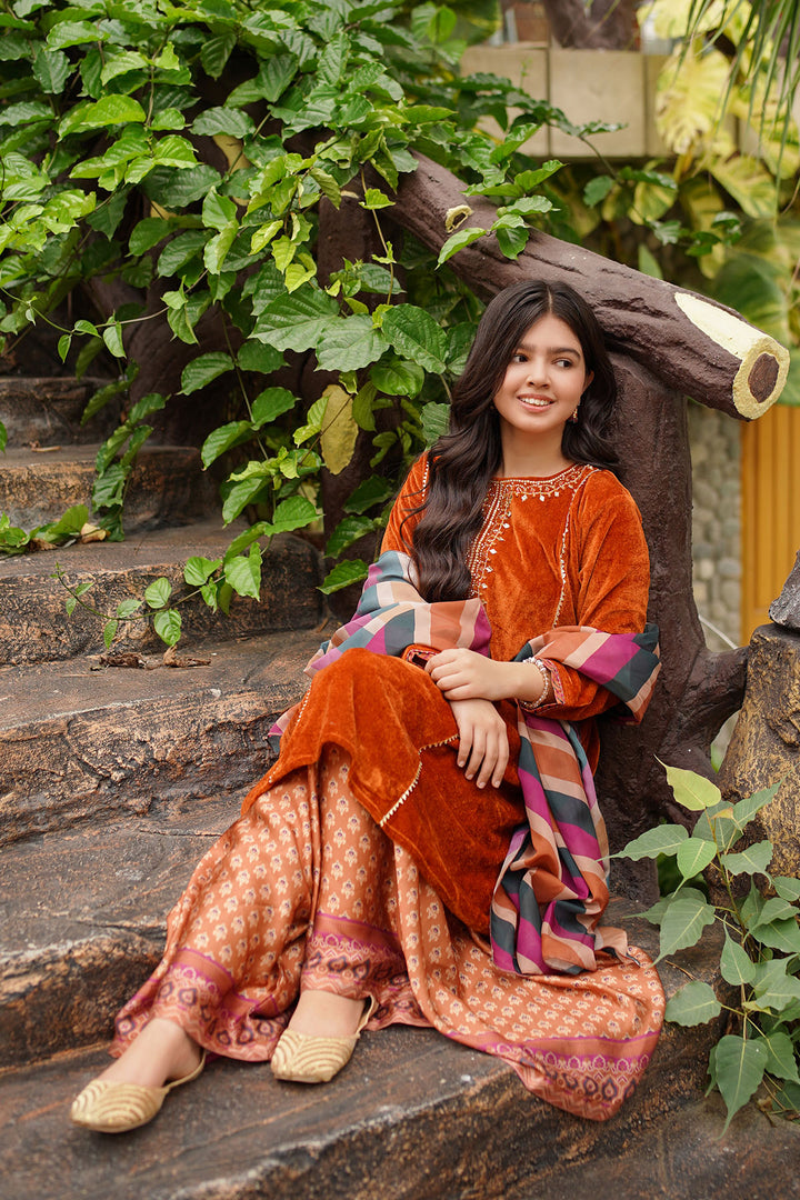 Velvet Hand Adda Work 3 Pc Suit - Wear Ochre