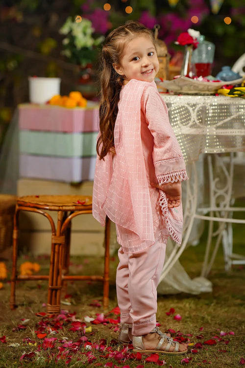 Best Chikankari Embroidered 3 Pc Suit - Wear Ochre -