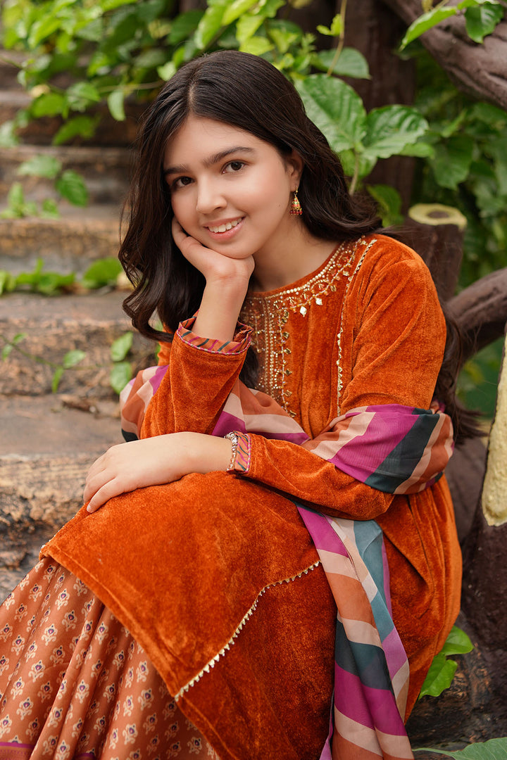 Velvet Hand Adda Work 3 Pc Suit - Wear Ochre