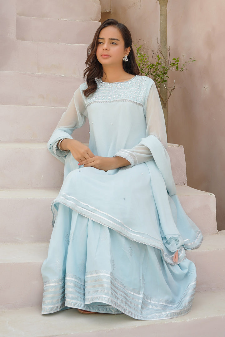 Chiffon Hand Adda Work 3 Pc Suit - Wear Ochre