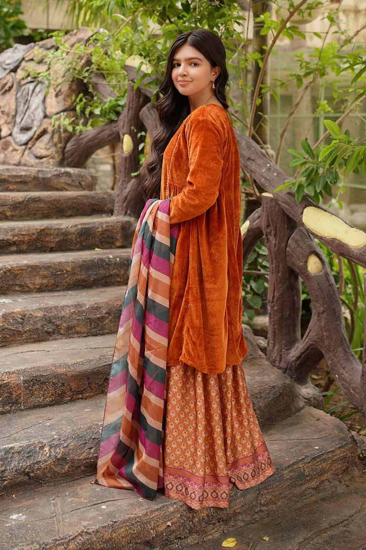 Velvet Hand Adda Work 3 Pc Suit - Wear Ochre