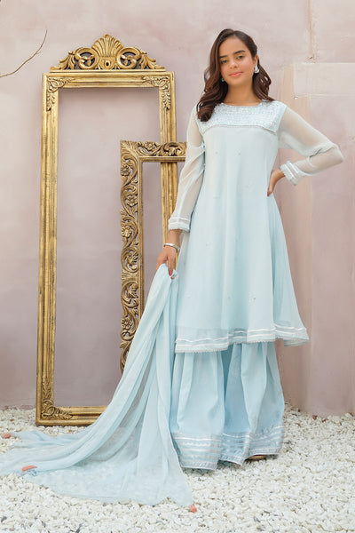 Chiffon Hand Adda Work 3 Pc Suit