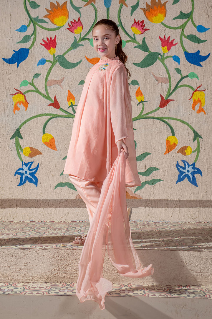 Chiffon Hand Adda Work 3 Pc Suit - Wear Ochre