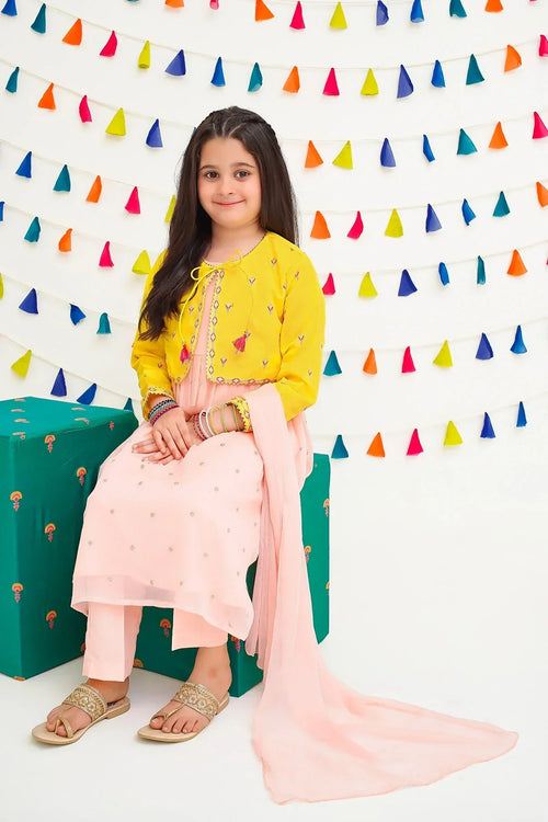 Chiffon Embroidered 3 Pc Suit - Wear Ochre