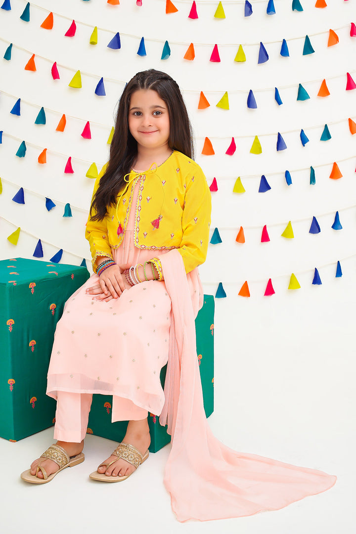 Chiffon Embroidered 3 Pc Suit - Wear Ochre