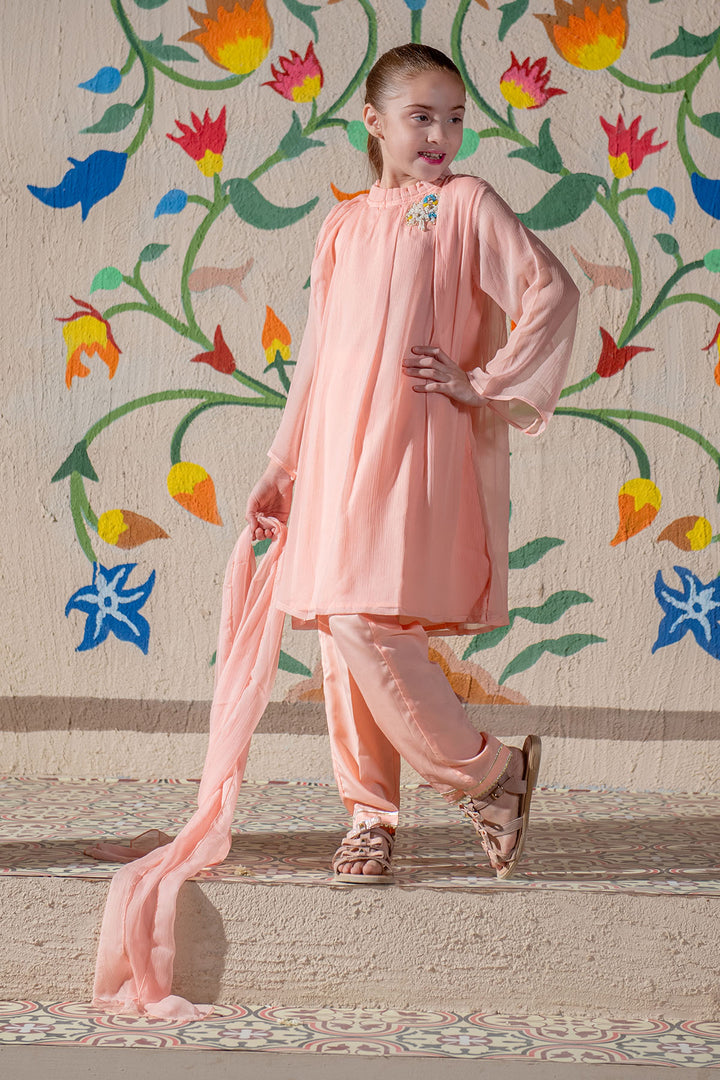 Chiffon Hand Adda Work 3 Pc Suit - Wear Ochre