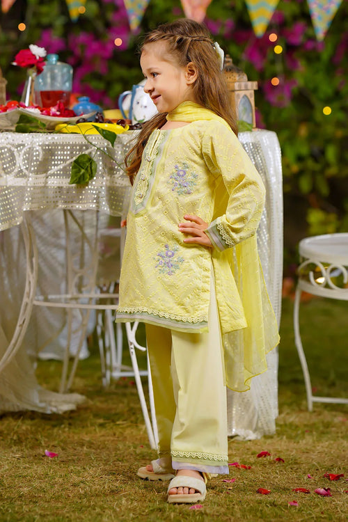 Best Chikankari Embroidered 3 Pc Suit - Wear Ochre -