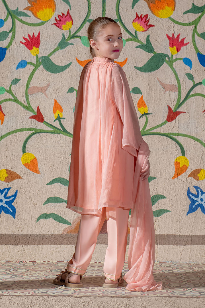Chiffon Hand Adda Work 3 Pc Suit - Wear Ochre