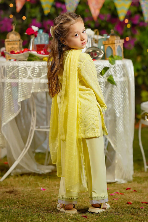 Best Chikankari Embroidered 3 Pc Suit - Wear Ochre -