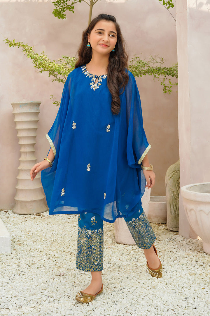 Chiffon Hand Adda Work 2 Pc Suit - Wear Ochre
