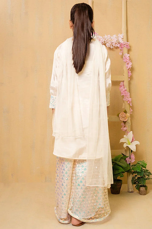 Best Cotton Silk Hand Adda Work 3 Pc Suit - Wear Ochre -