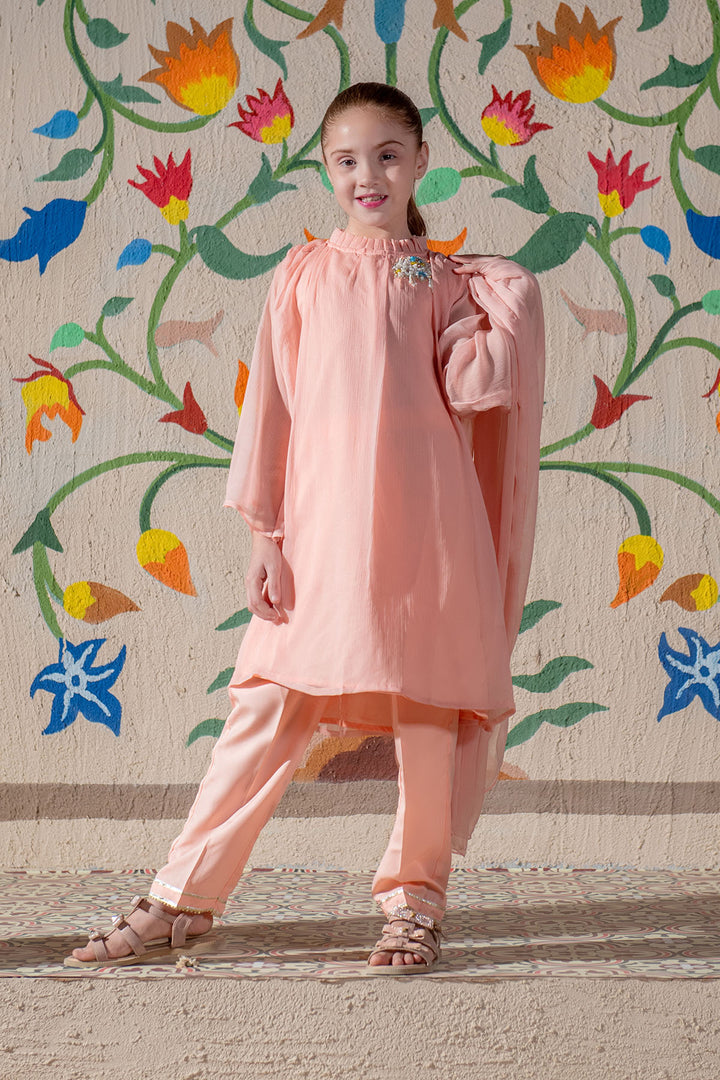 Chiffon Hand Adda Work 3 Pc Suit - Wear Ochre