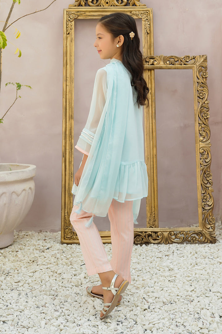 Chiffon Hand Adda Work 3 Pc Suit - Wear Ochre