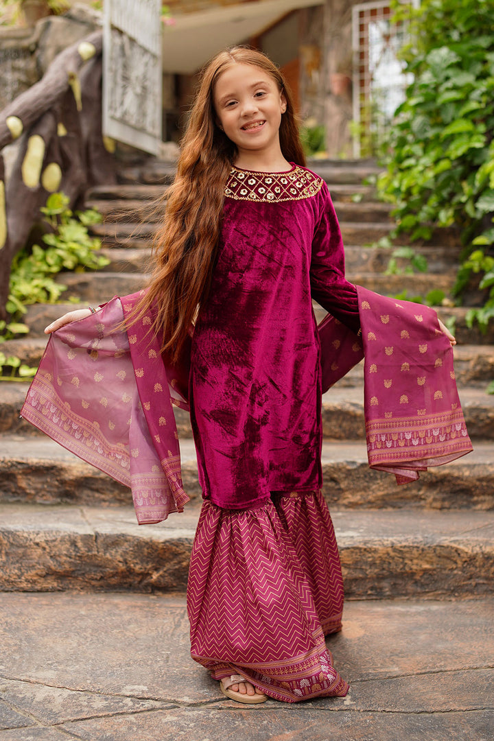 Velvet Hand Adda Work 3 Pc Suit - Wear Ochre