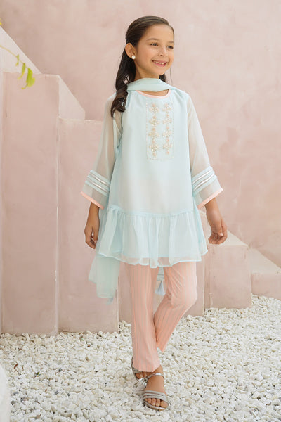 Chiffon Hand Adda Work 3 Pc Suit