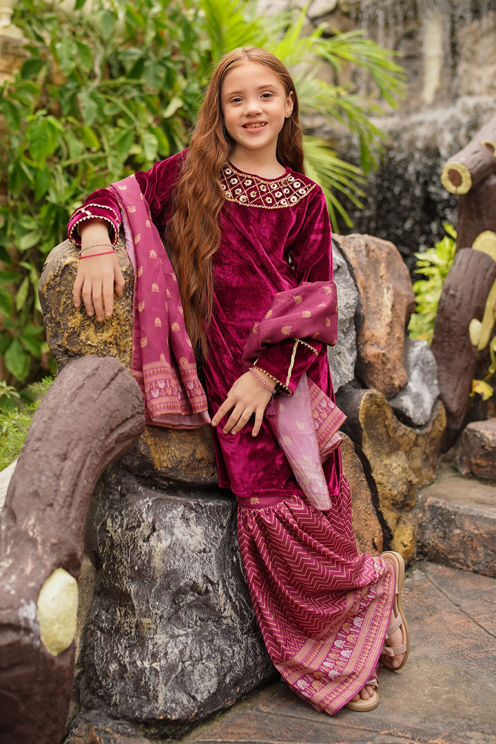 Velvet Hand Adda Work 3 Pc Suit - Wear Ochre