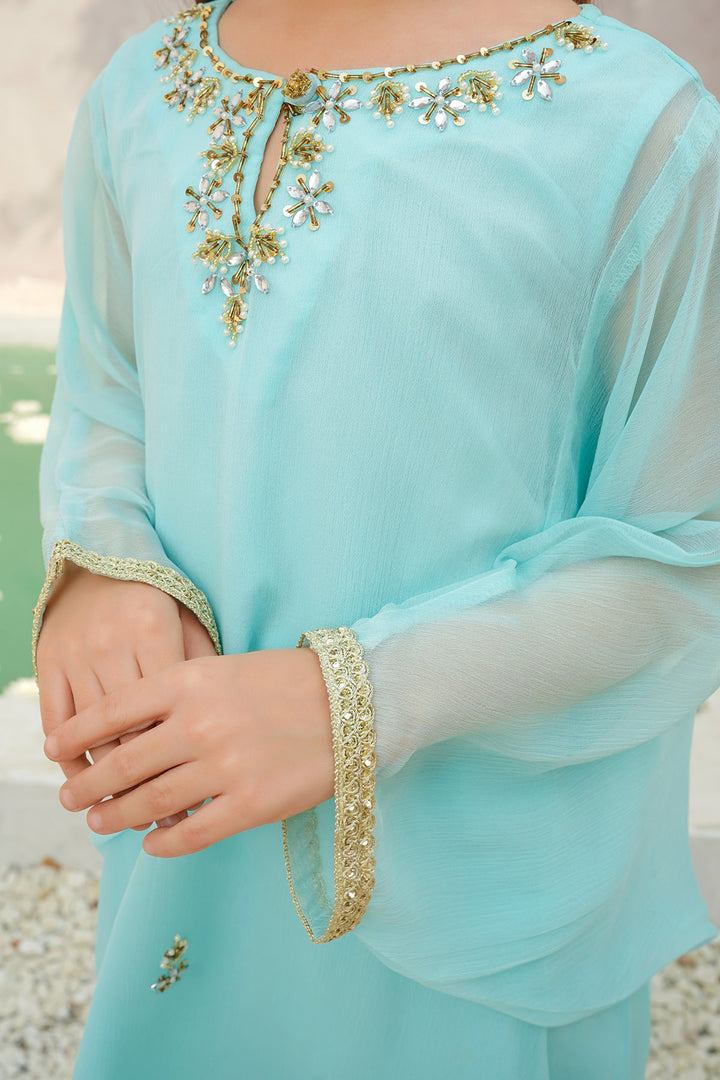 Chiffon Hand Adda Work 2 Pc Suit - Wear Ochre