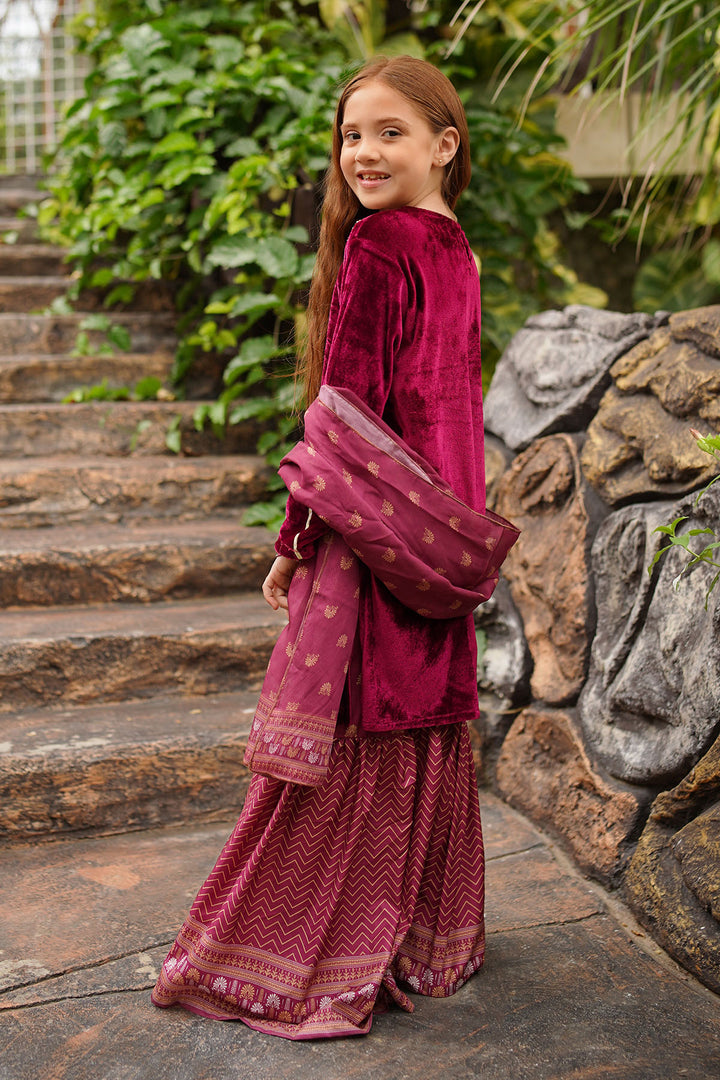 Velvet Hand Adda Work 3 Pc Suit - Wear Ochre