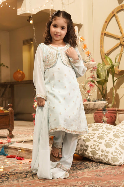 Chiffon Embroidered 3 Pc Suit