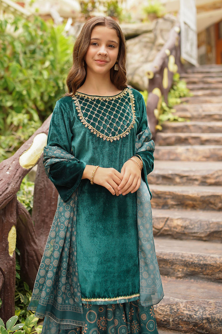 Velvet Hand Adda Work 3 Pc Suit - Wear Ochre