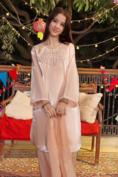 Korean Silk Hand Adda Work 3 Pc Suit