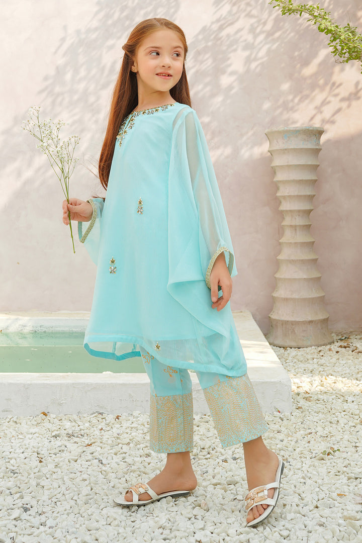 Chiffon Hand Adda Work 2 Pc Suit - Wear Ochre