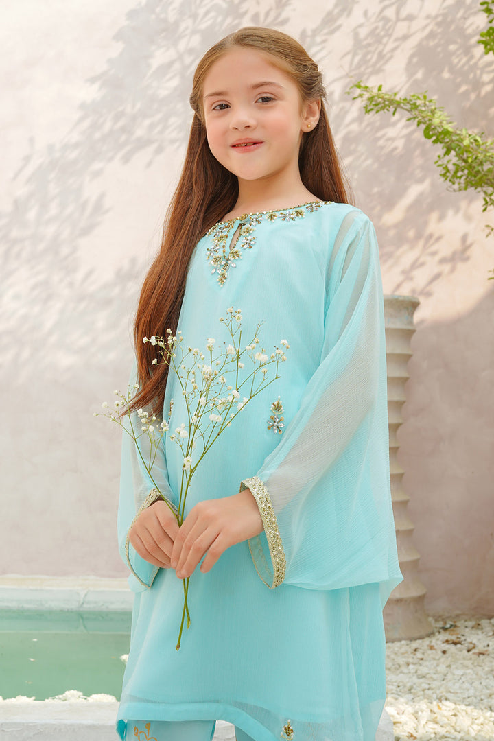 Chiffon Hand Adda Work 2 Pc Suit - Wear Ochre