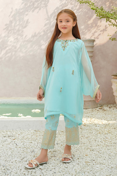 Chiffon Hand Adda Work 2 Pc Suit
