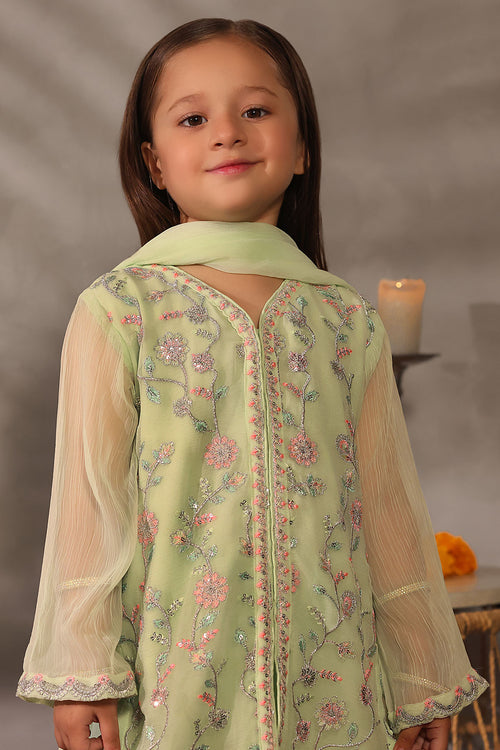Chiffon Embroidered 3 Pc Suit