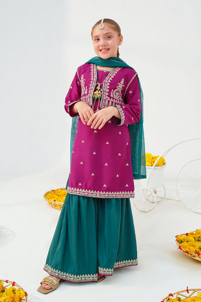 Raw Silk Embroidered 3 Pc Suit