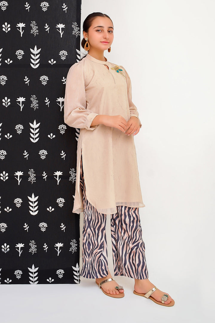 Organza Hand Adda Work 2 Pc Suit - Wear Ochre