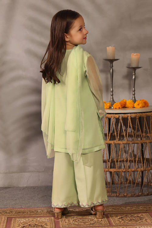 Chiffon Embroidered 3 Pc Suit