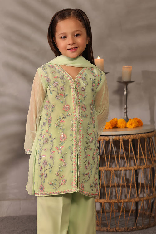 Chiffon Embroidered 3 Pc Suit