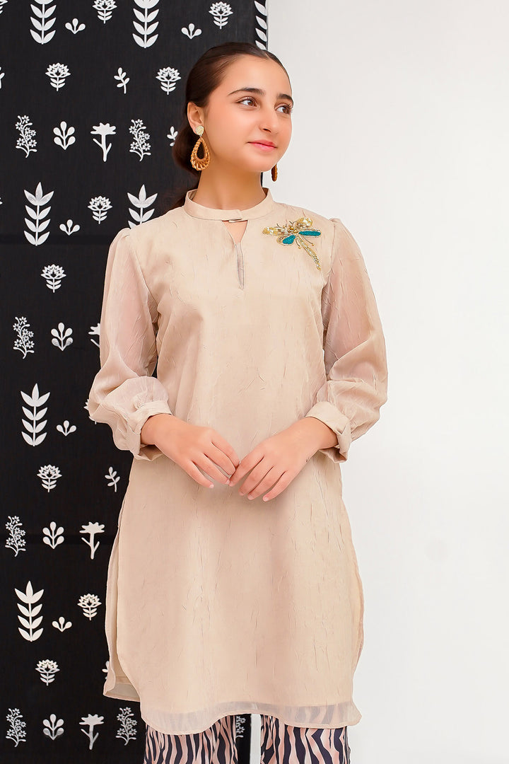 Organza Hand Adda Work 2 Pc Suit - Wear Ochre