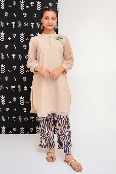 Organza Hand Adda Work 2 Pc Suit