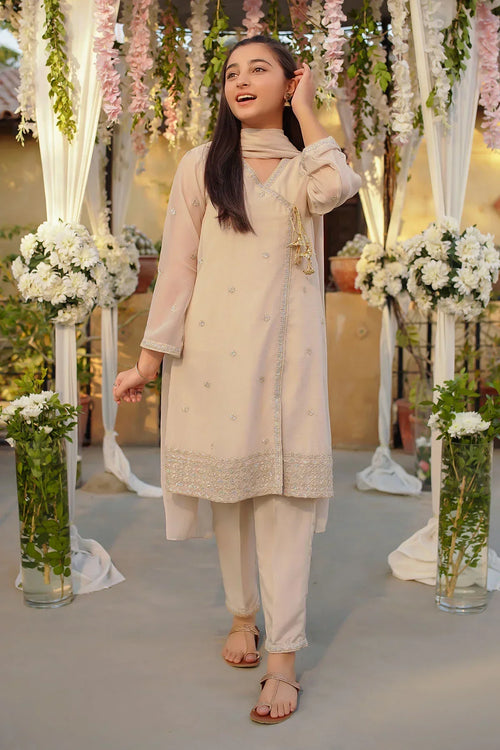 Best Chiffon Embroidered 3 Pc Suit - Wear Ochre -