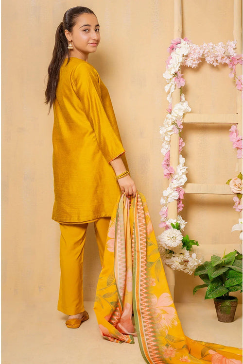 Best Cotton Net 3 Pc Suit - Wear Ochre -