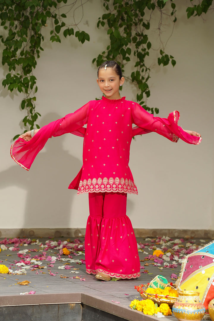Chiffon Embroidered 3 Pc Suit - Wear Ochre