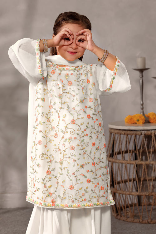 Chiffon Embroidered 3 Pc Suit