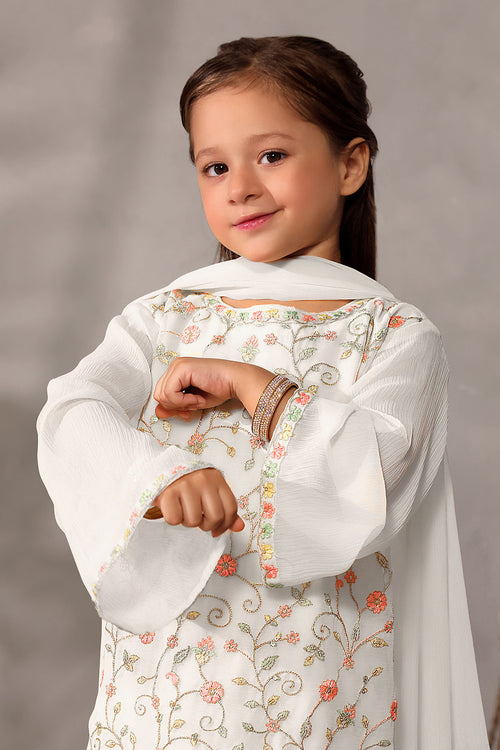 Chiffon Embroidered 3 Pc Suit