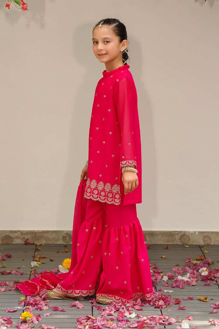 Chiffon Embroidered 3 Pc Suit - Wear Ochre