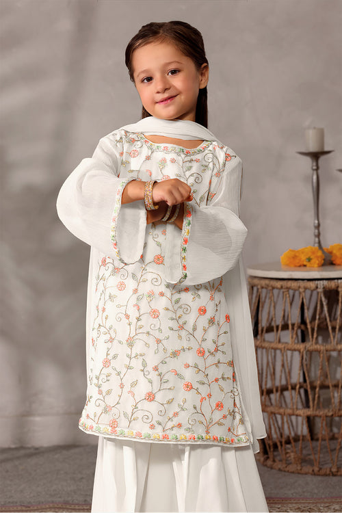 Chiffon Embroidered 3 Pc Suit