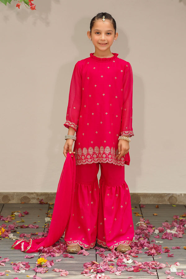 Chiffon Embroidered 3 Pc Suit