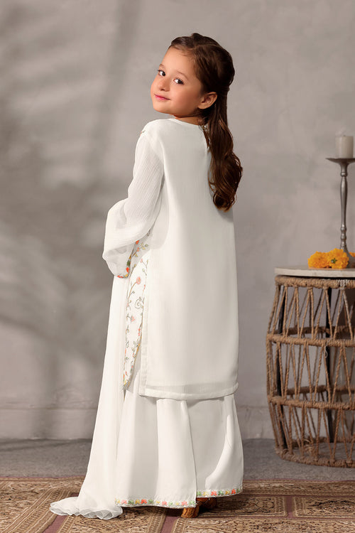 Chiffon Embroidered 3 Pc Suit