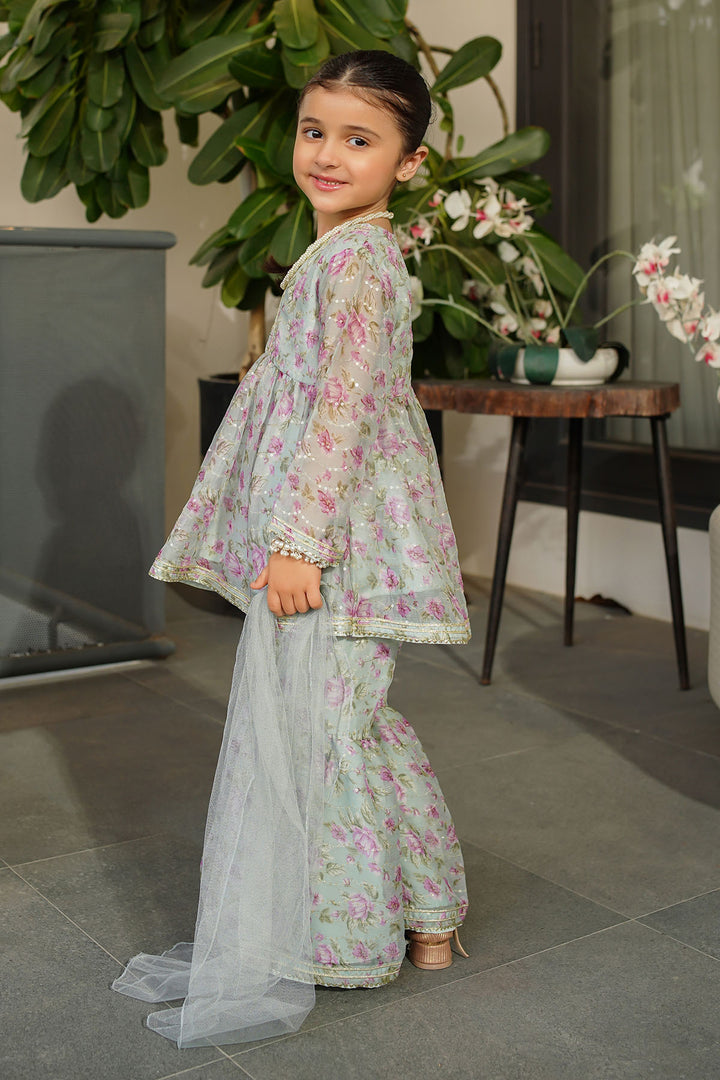 Printed Chiffon 3 Pc Suit - Wear Ochre