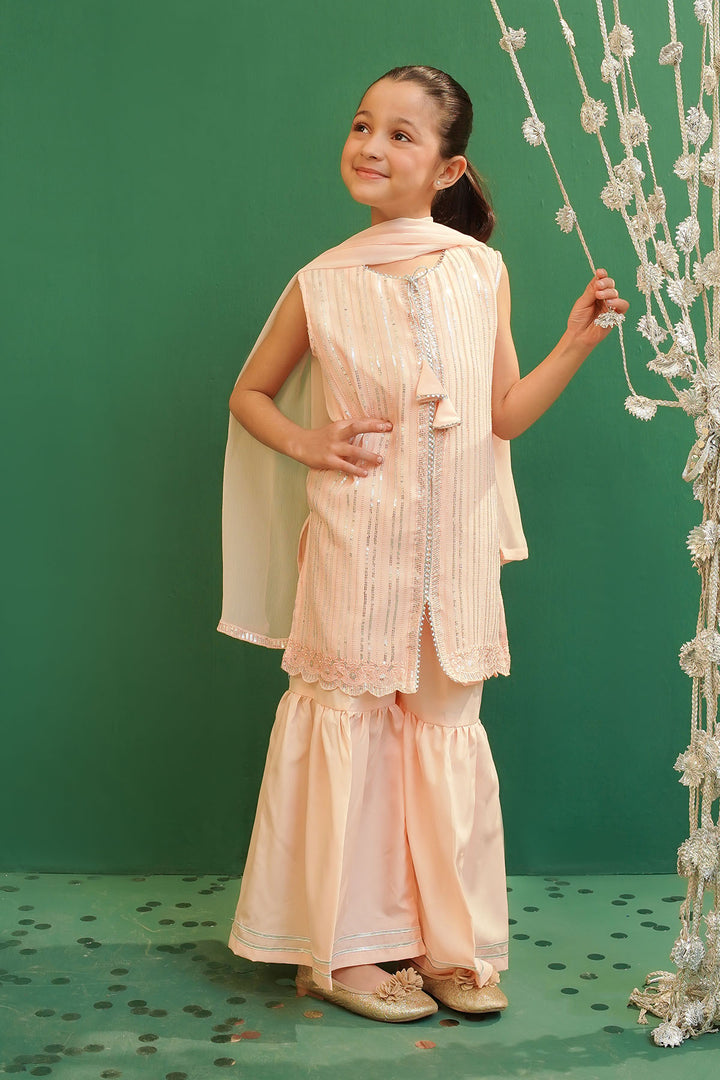 Chiffon Embroidered 3 Pc Suit - Wear Ochre