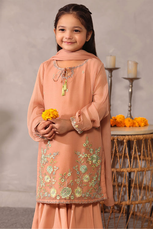 Chiffon Embroidered 3 Pc Suit